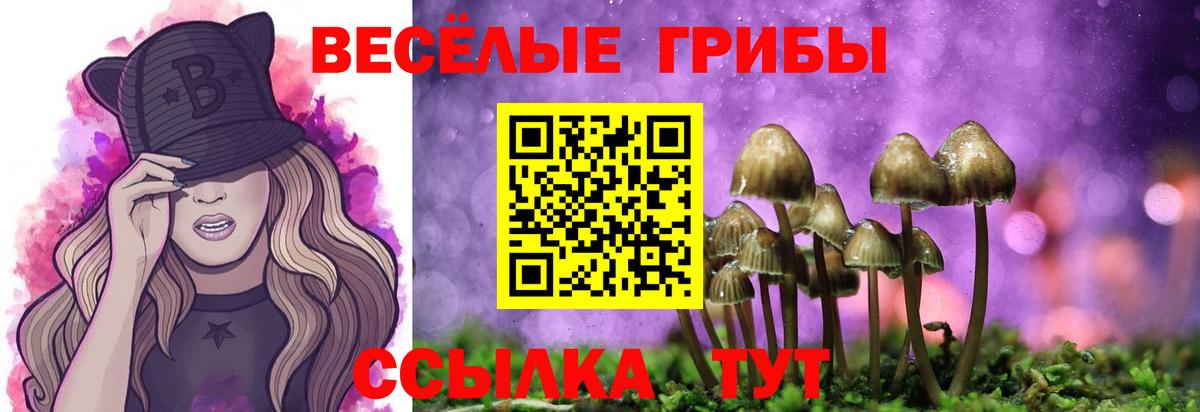 Галлюциногенные грибы ЛСД  Вход с VPN  Лосино-Петровский  Псилоцибиновые грибы GOLDEN TEACHER 