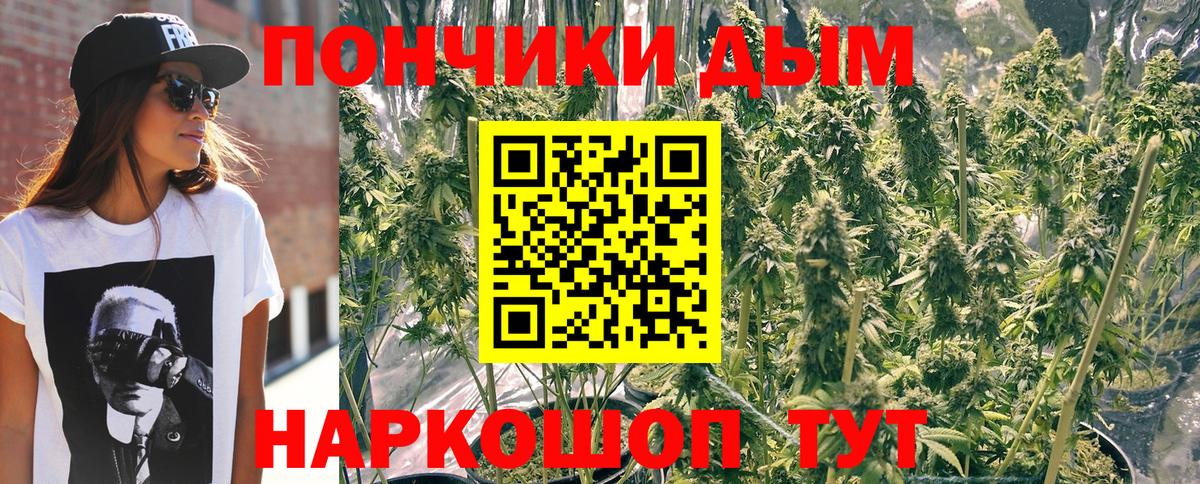 Бошки Шишки LSD WEED  Бошки Шишки конопля  Лосино-Петровский  Вход с VPN  Конопля тримм 